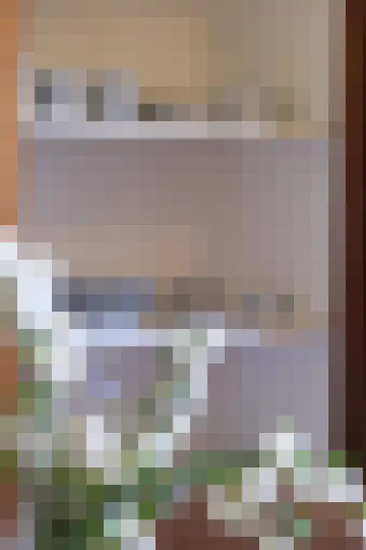 Roekdonk 5 Veghel thumbnail 18