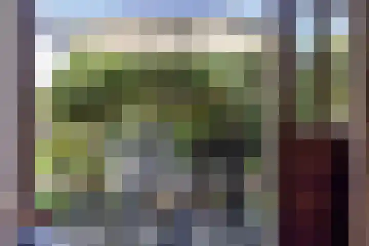 Roekdonk 5 Veghel thumbnail 21