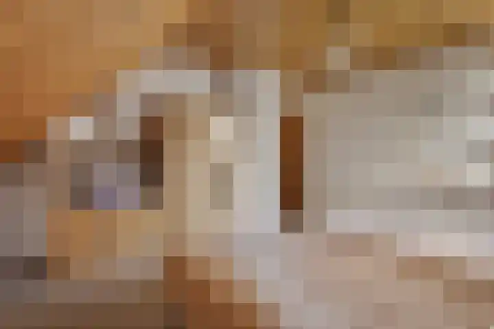 Roekdonk 5 Veghel thumbnail 29