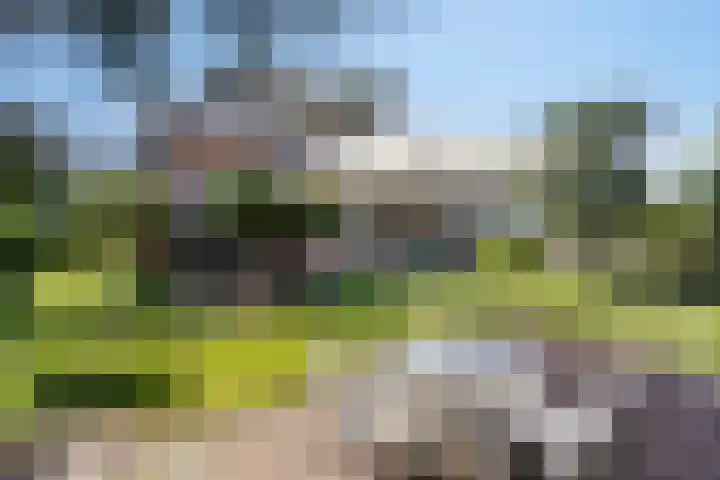 Roekdonk 5 Veghel thumbnail 36