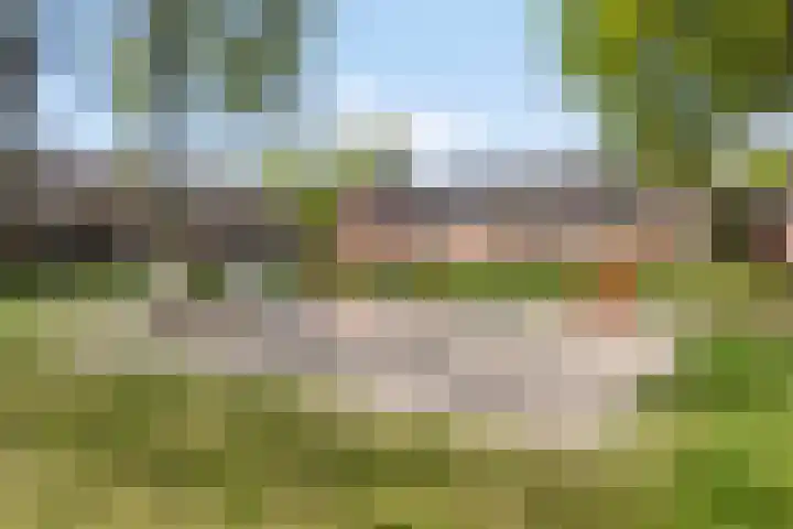 Roekdonk 5 Veghel thumbnail 43
