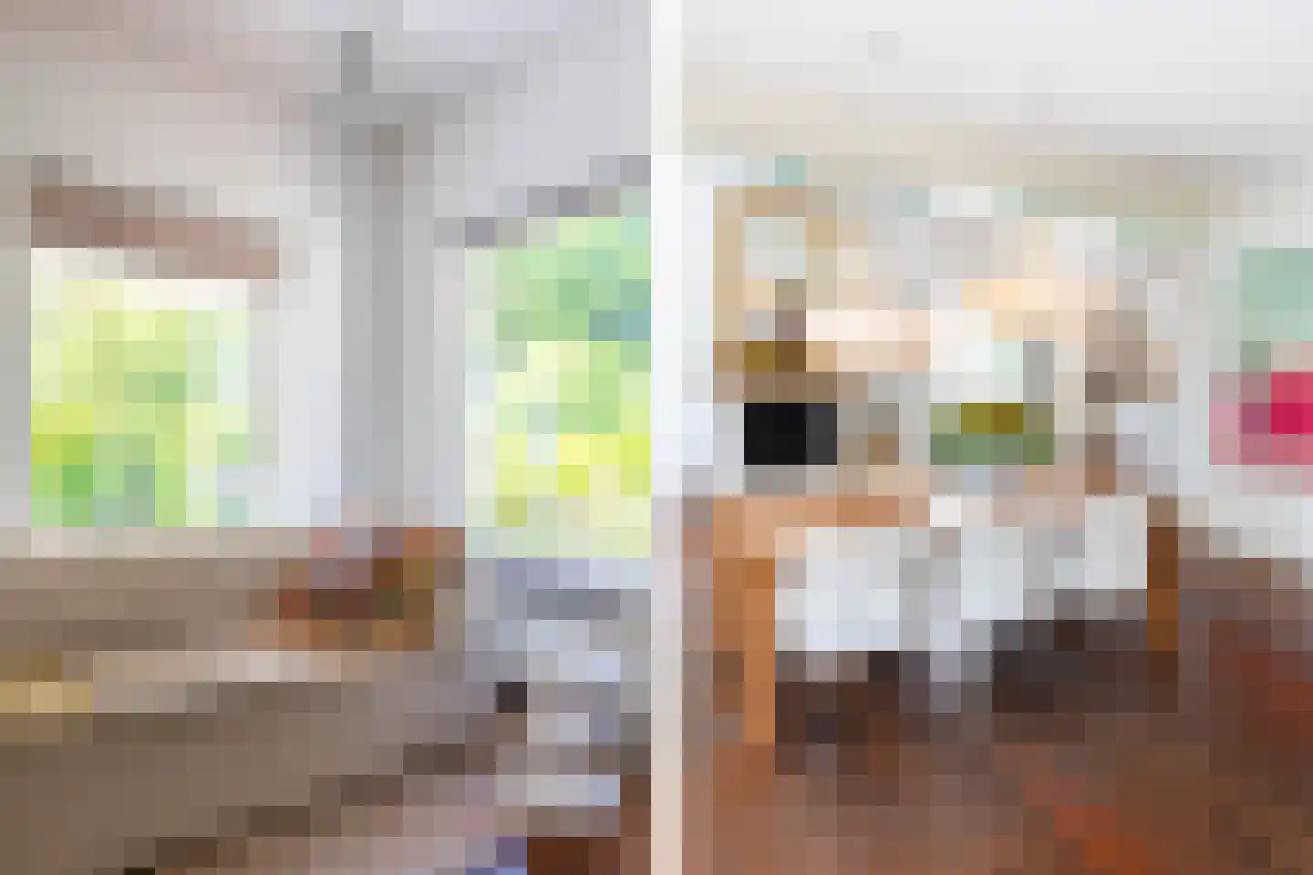 Roekebosk 23 Beetsterzwaag thumbnail 12