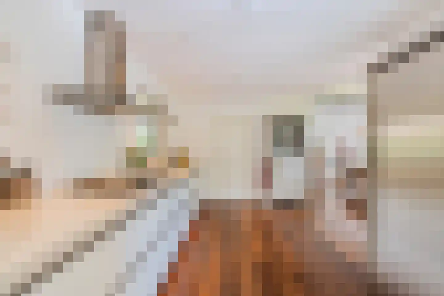 Roekebosk 23 Beetsterzwaag thumbnail 24