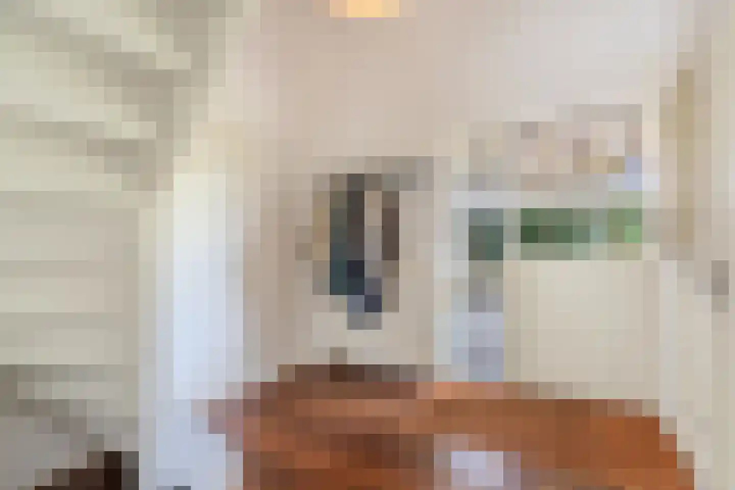 Roekebosk 23 Beetsterzwaag thumbnail 25
