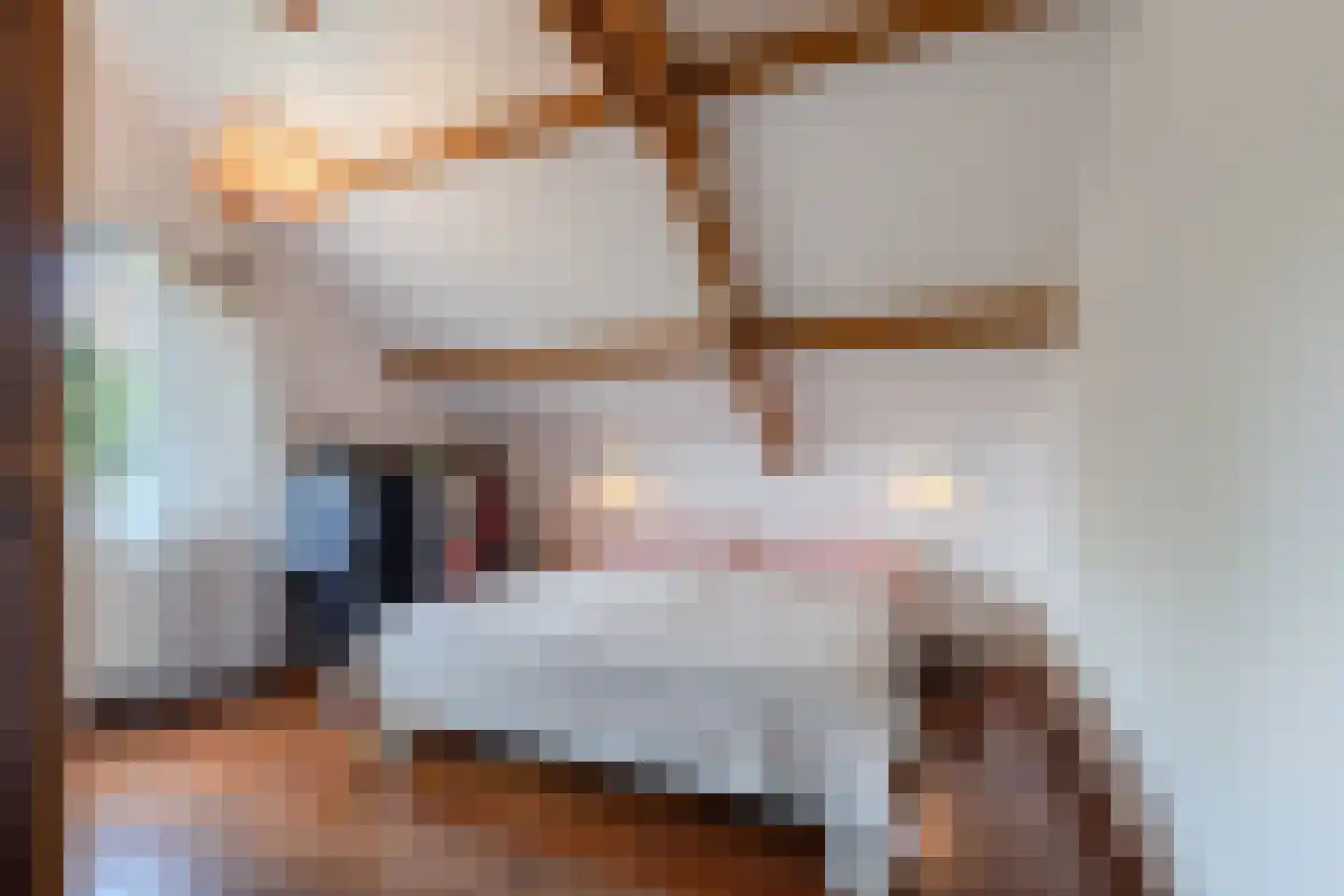 Roekebosk 23 Beetsterzwaag thumbnail 36