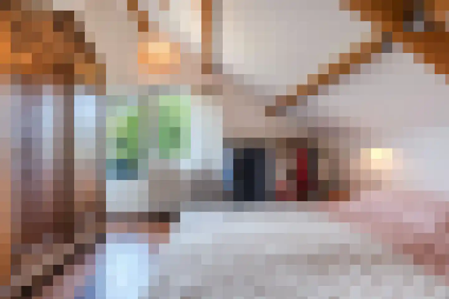 Roekebosk 23 Beetsterzwaag thumbnail 37
