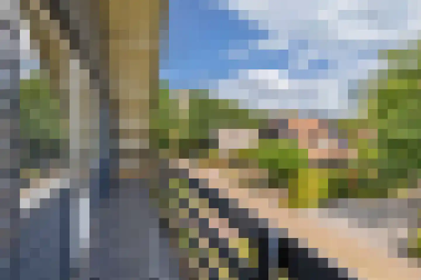 Roekebosk 23 Beetsterzwaag thumbnail 38