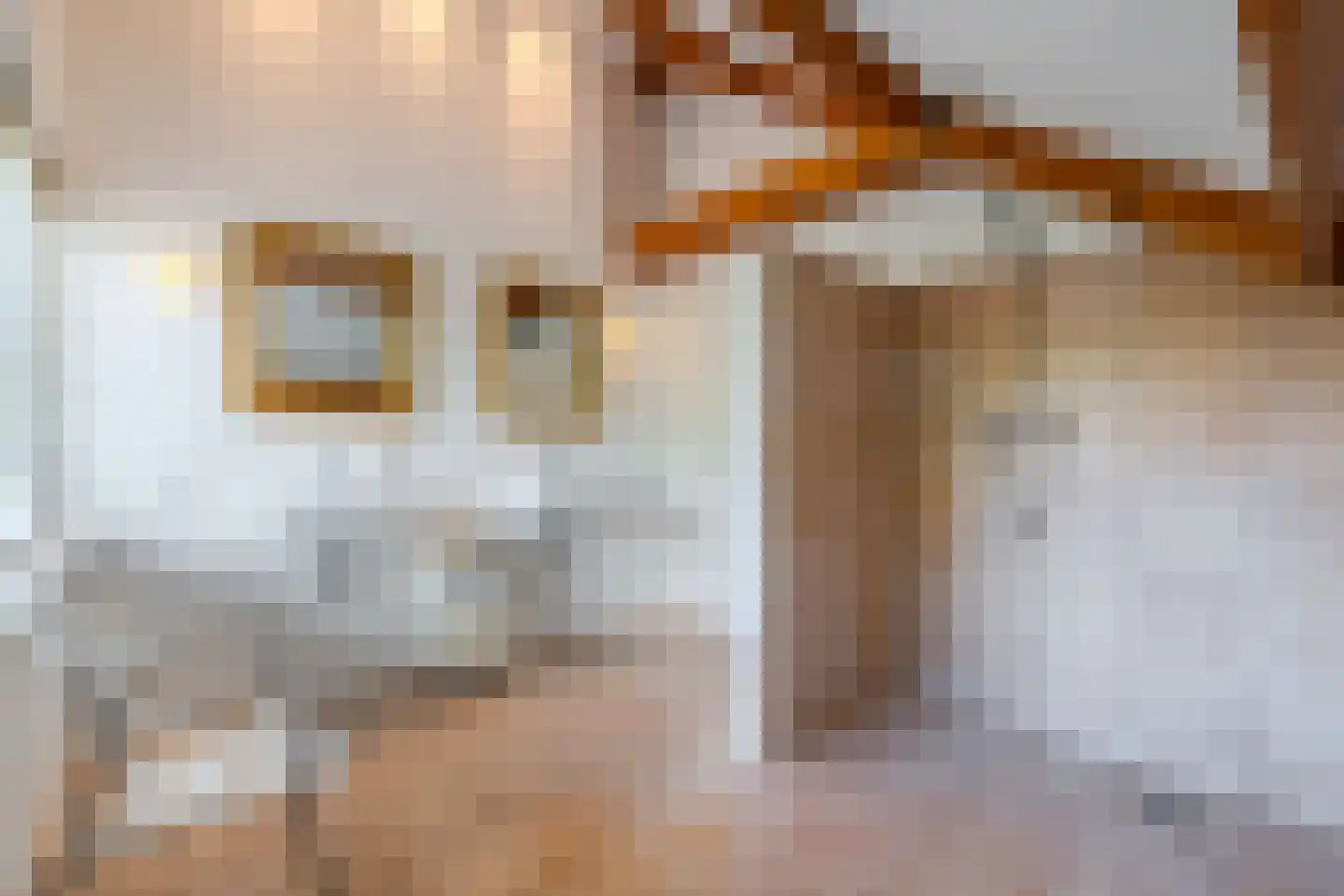 Roekebosk 23 Beetsterzwaag thumbnail 42