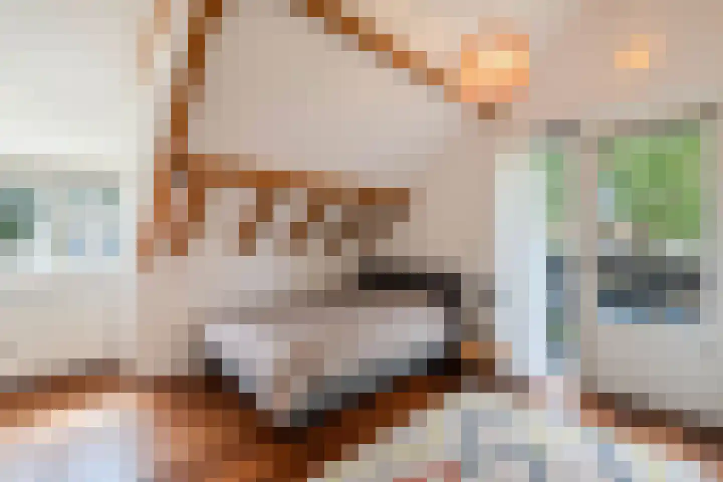 Roekebosk 23 Beetsterzwaag thumbnail 47