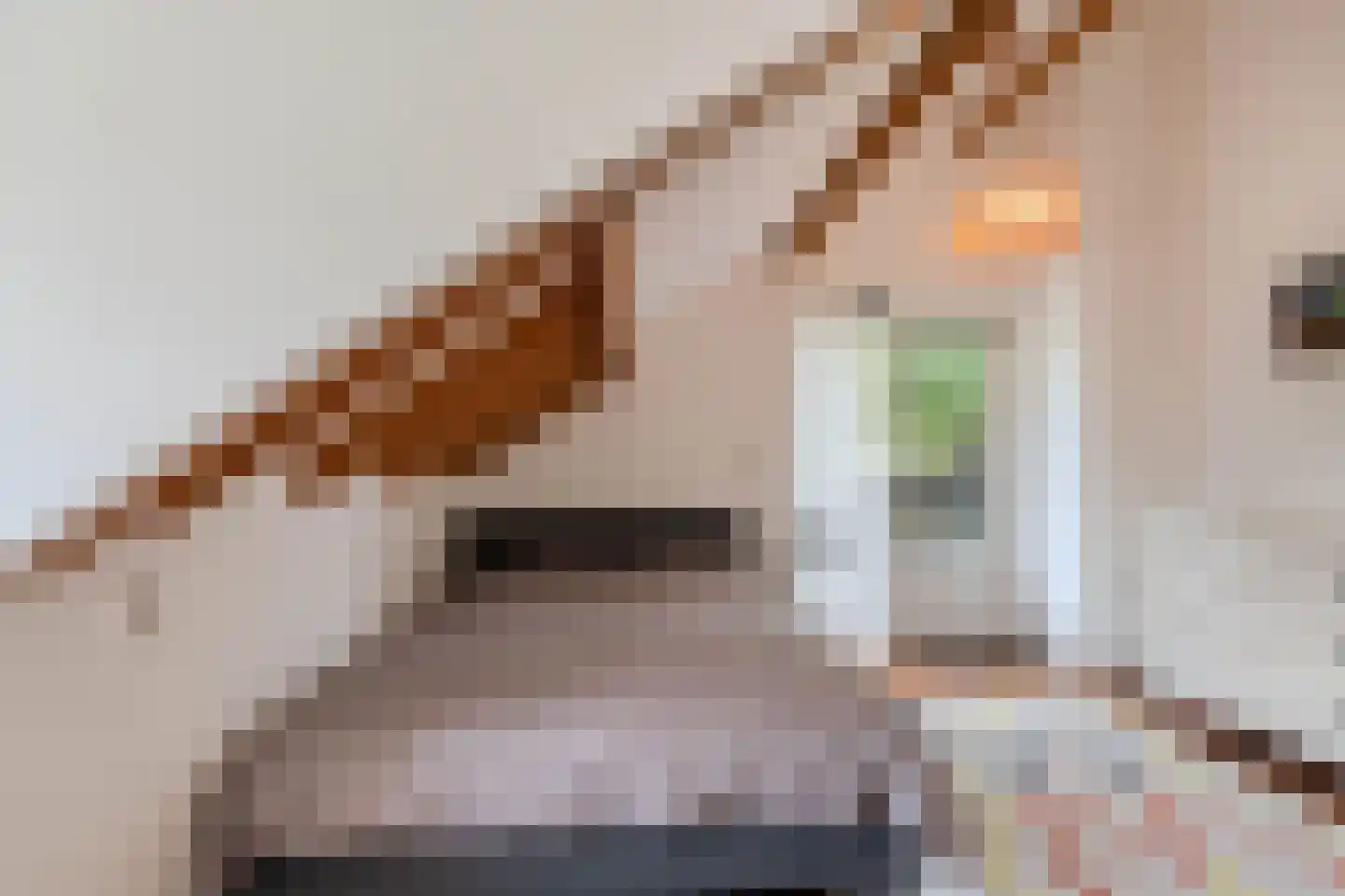 Roekebosk 23 Beetsterzwaag thumbnail 48