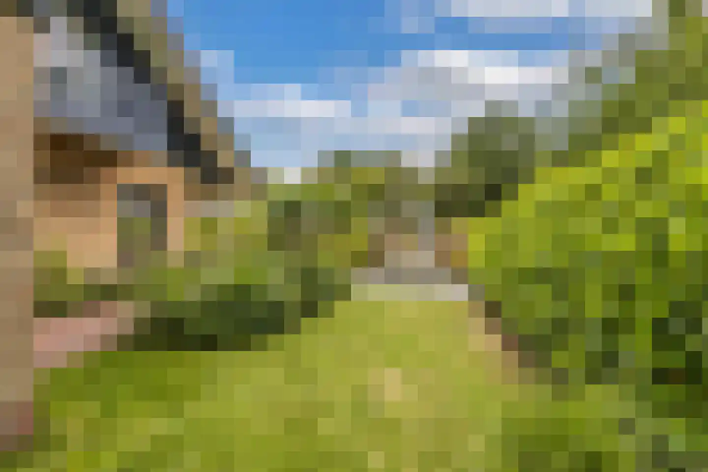 Roekebosk 23 Beetsterzwaag thumbnail 51