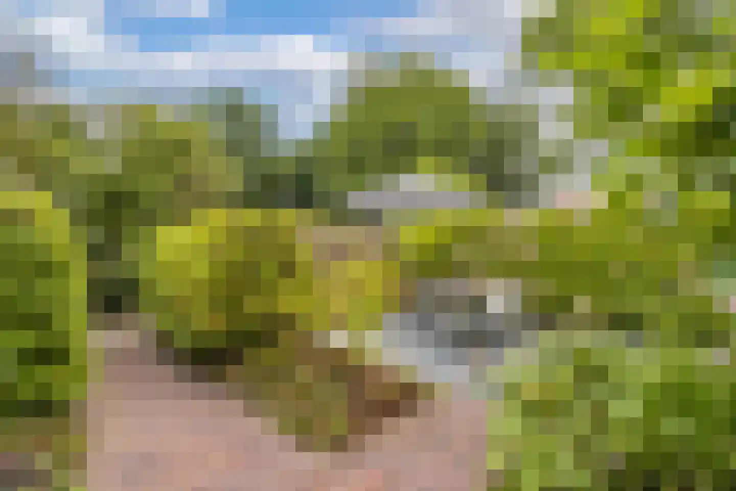 Roekebosk 23 Beetsterzwaag thumbnail 52