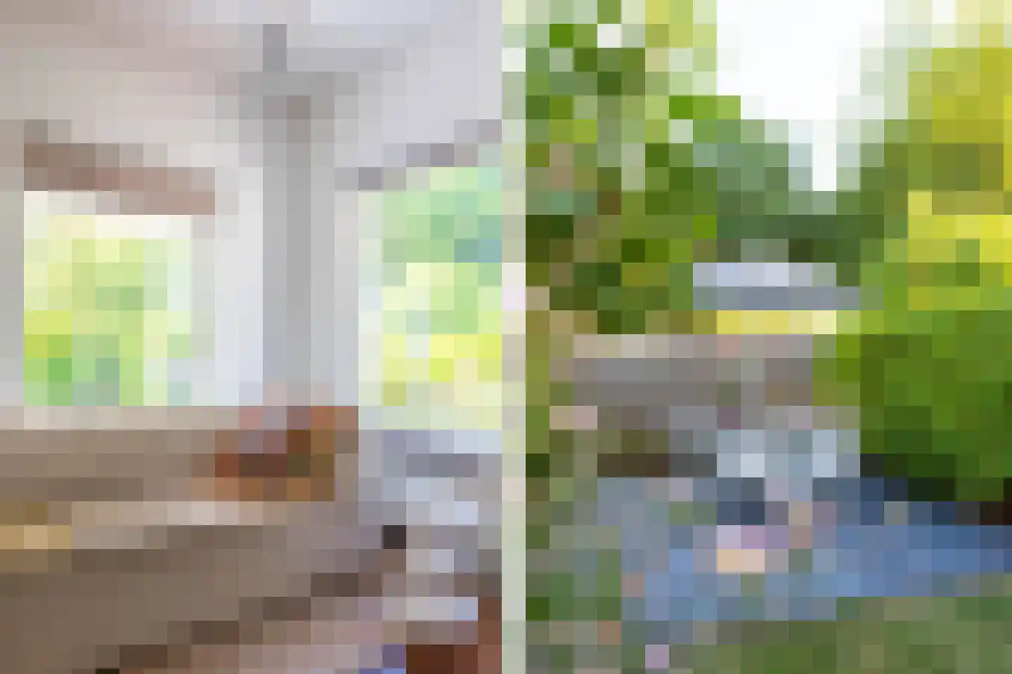 Roekebosk 23 Beetsterzwaag thumbnail 53