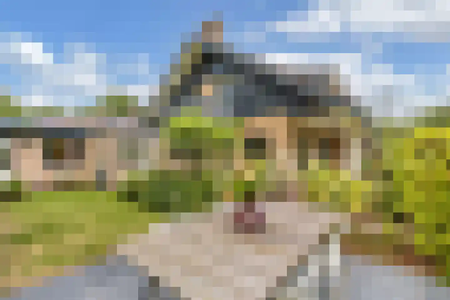 Roekebosk 23 Beetsterzwaag thumbnail 54