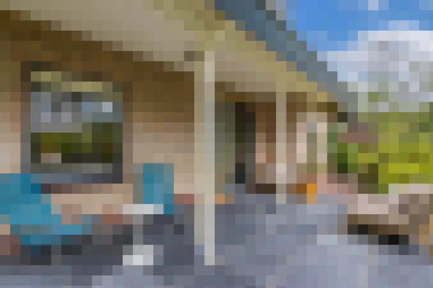 Roekebosk 23 Beetsterzwaag thumbnail 55