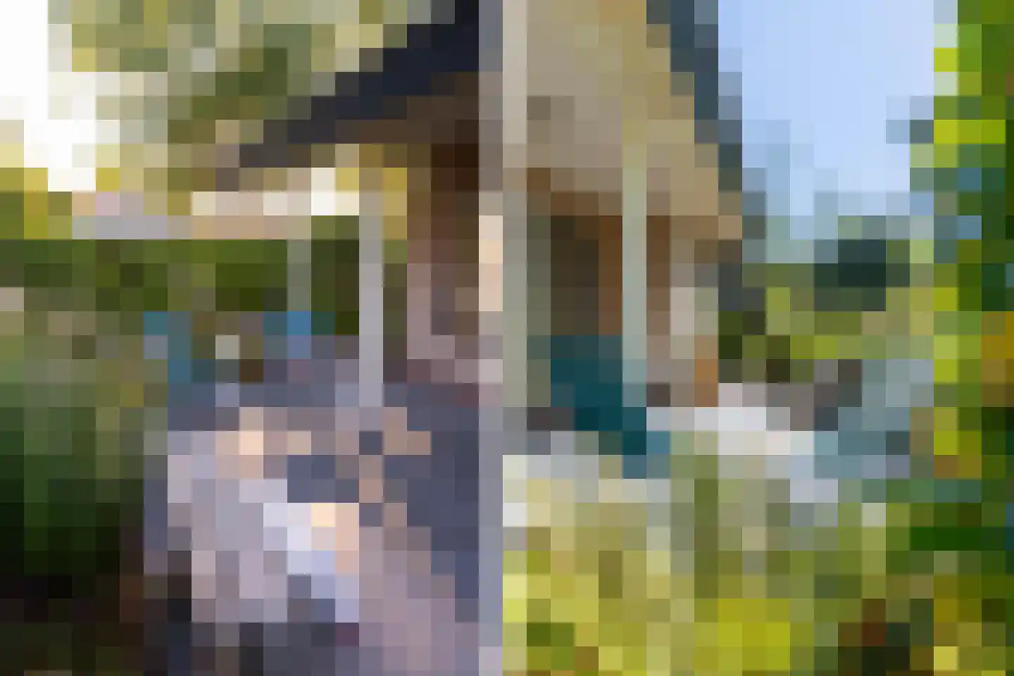 Roekebosk 23 Beetsterzwaag thumbnail 56