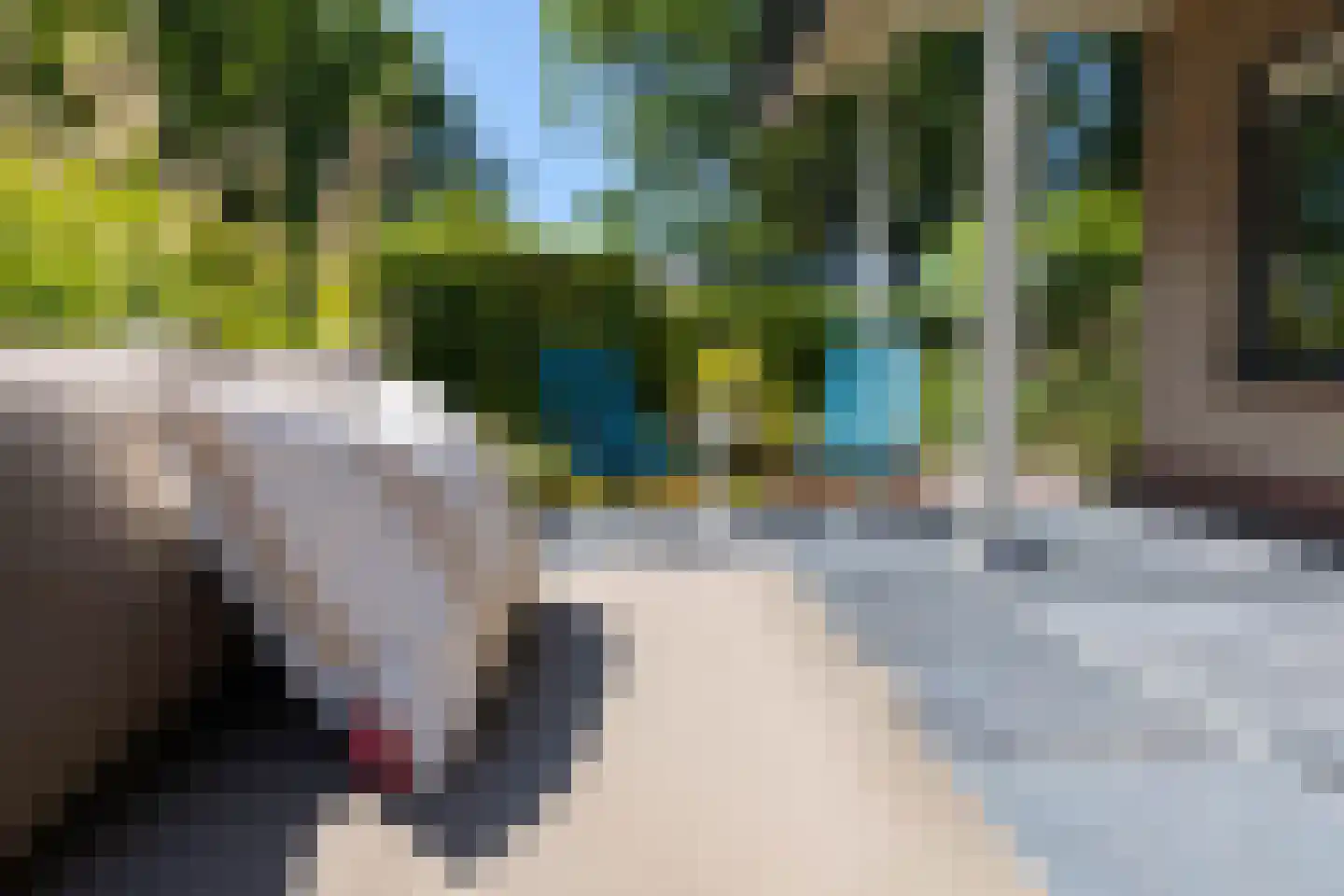 Roekebosk 23 Beetsterzwaag thumbnail 57