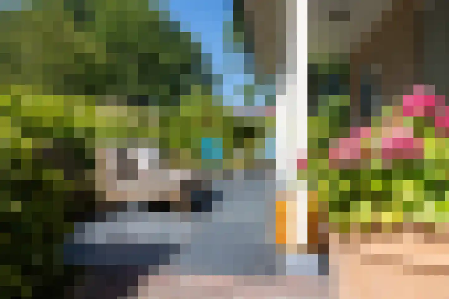 Roekebosk 23 Beetsterzwaag thumbnail 58
