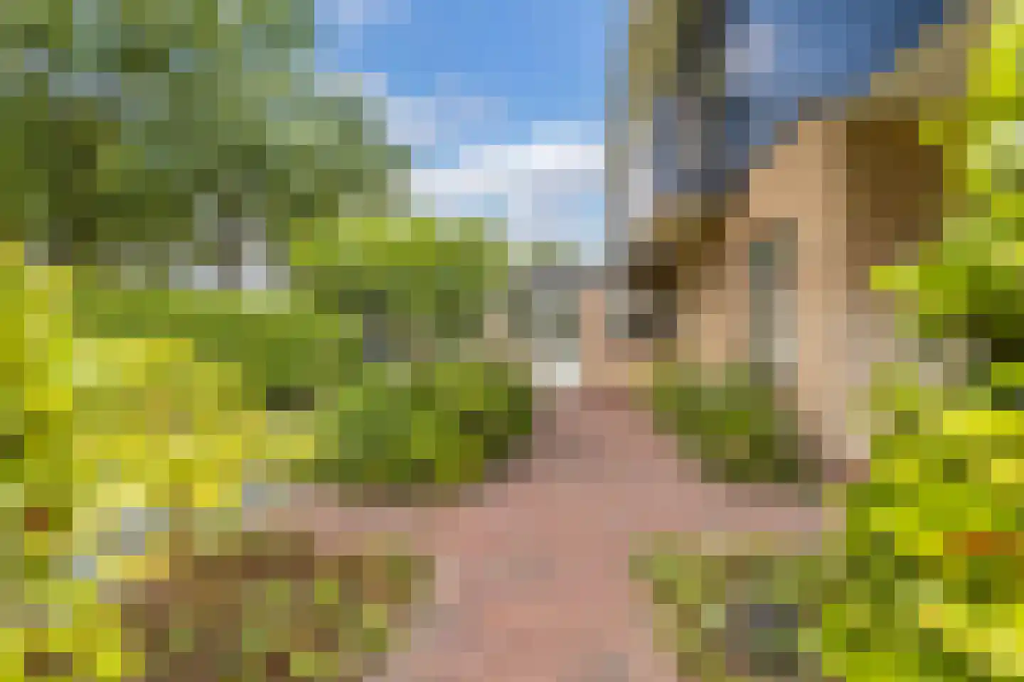 Roekebosk 23 Beetsterzwaag thumbnail 59