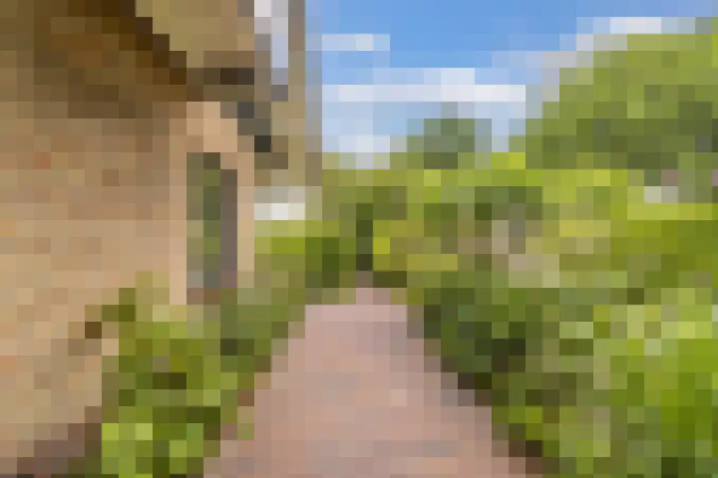 Roekebosk 23 Beetsterzwaag thumbnail 60