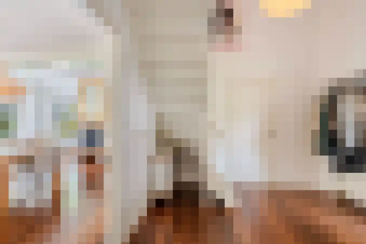 Roekebosk 23 Beetsterzwaag thumbnail 9