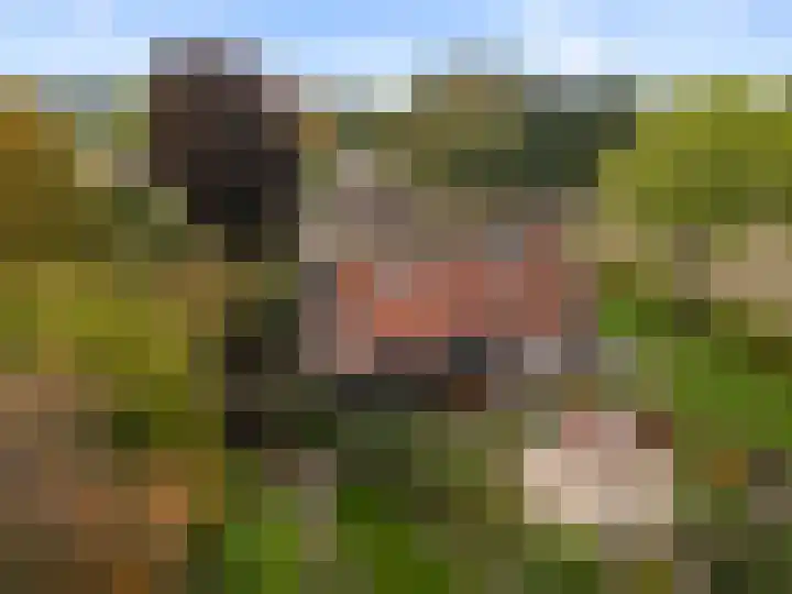 Roekelseweg 15 Wekerom thumbnail 39