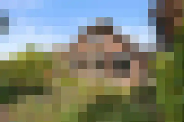Roekelseweg 15 Wekerom thumbnail 51