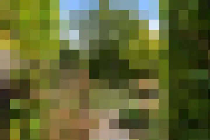 Roekelseweg 15 Wekerom thumbnail 52