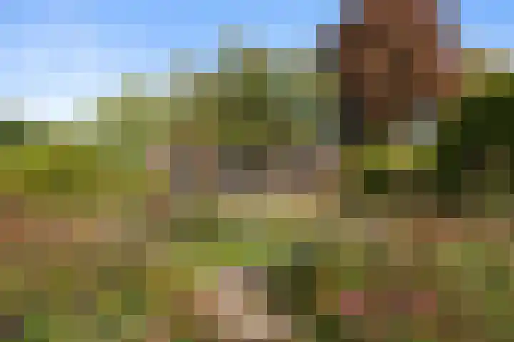 Roekelseweg 15 Wekerom thumbnail 53