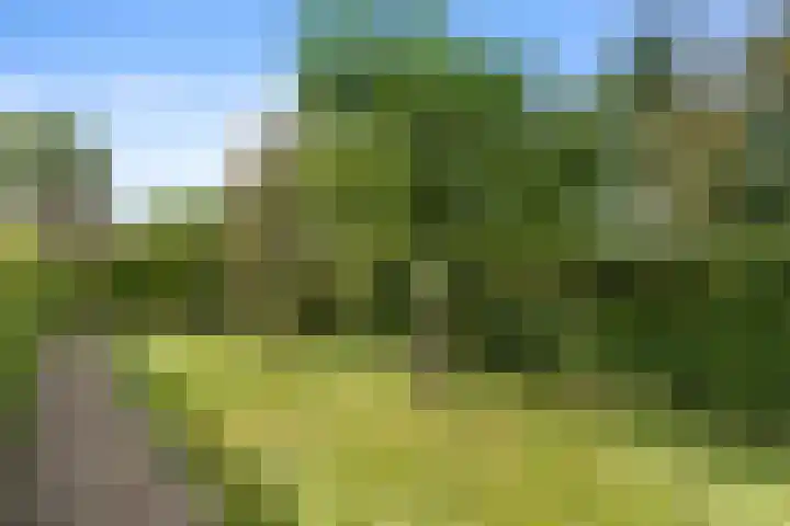 Roekelseweg 15 Wekerom thumbnail 55