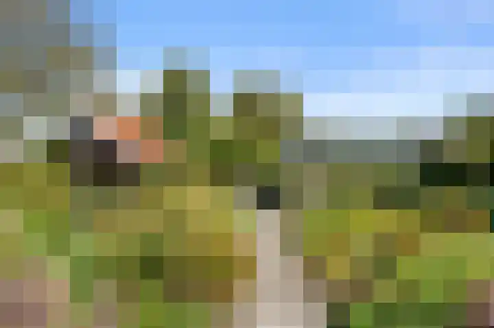 Roekelseweg 15 Wekerom thumbnail 62