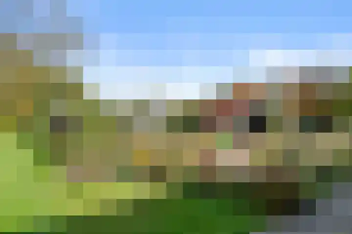 Roekelseweg 15 Wekerom thumbnail 64