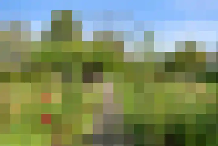 Roekelseweg 15 Wekerom thumbnail 66