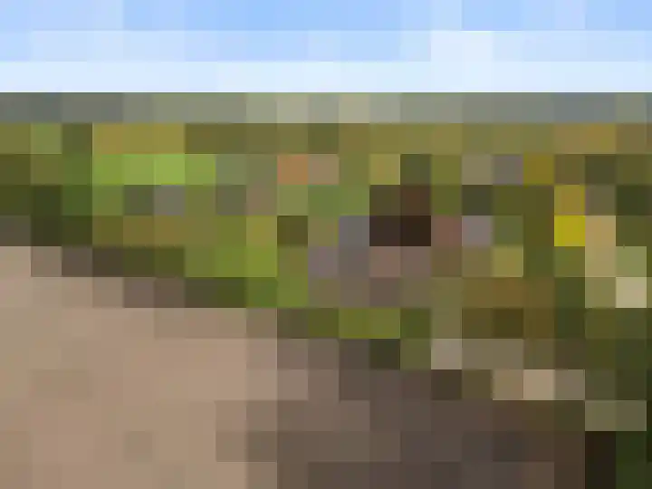 Roekelseweg 15 Wekerom thumbnail 73