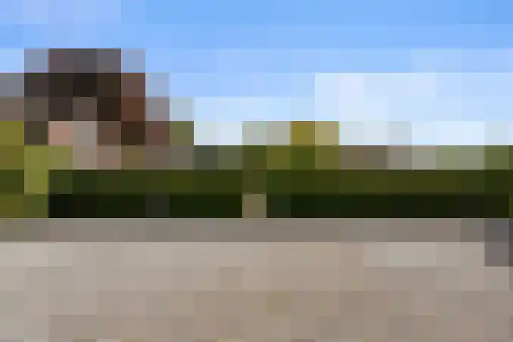 Roekelseweg 15 Wekerom thumbnail 74