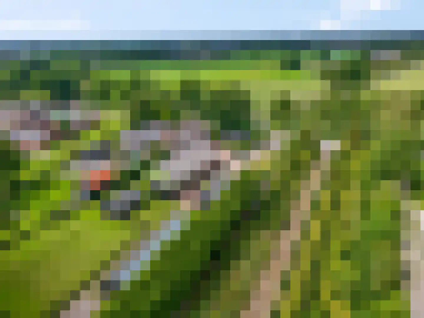 Roekelseweg 18 A Wekerom thumbnail 54