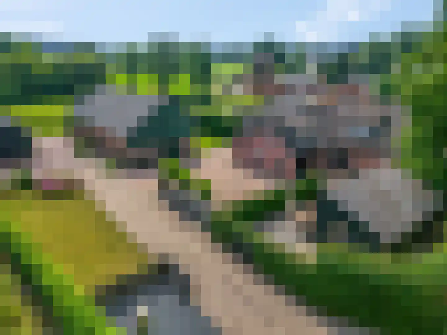 Roekelseweg 18 A Wekerom thumbnail 6