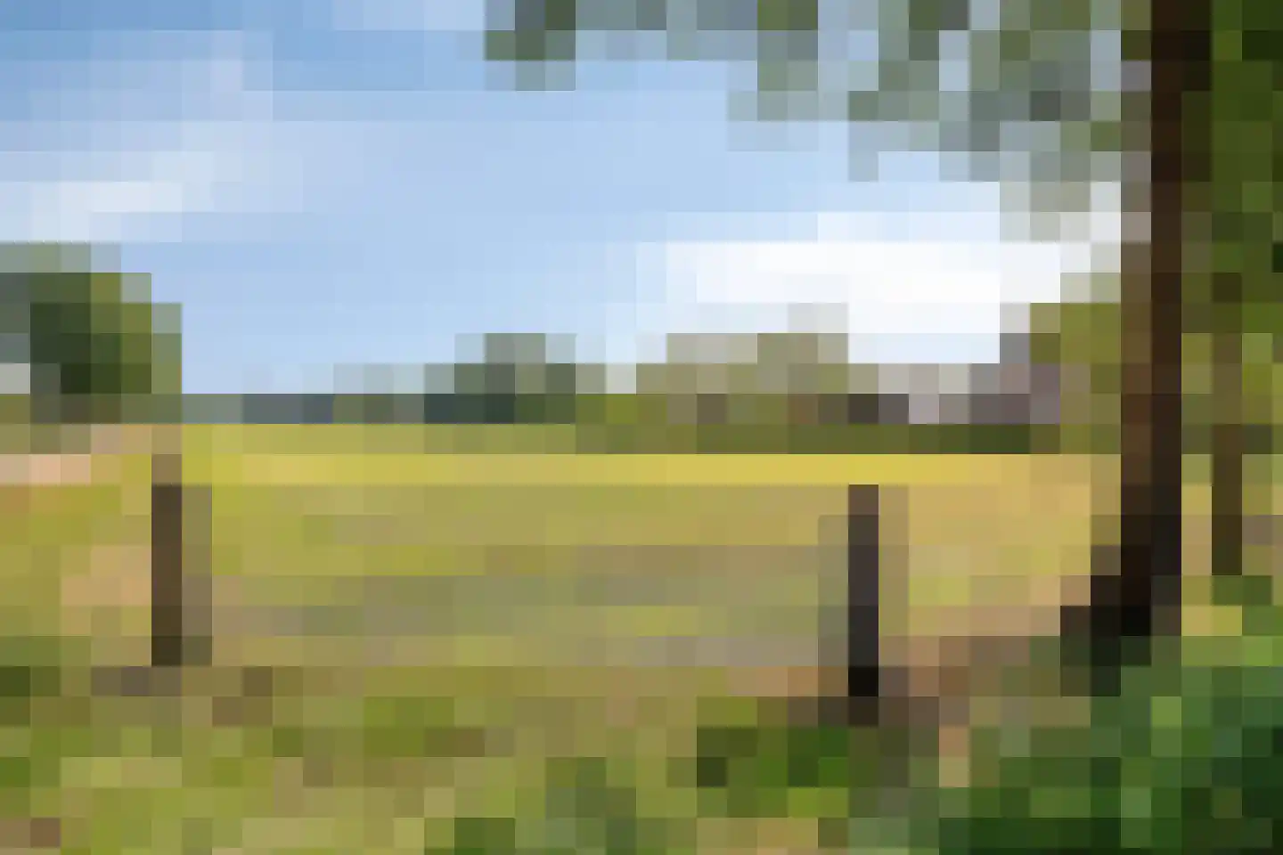 Roekelseweg 18 A Wekerom thumbnail 62