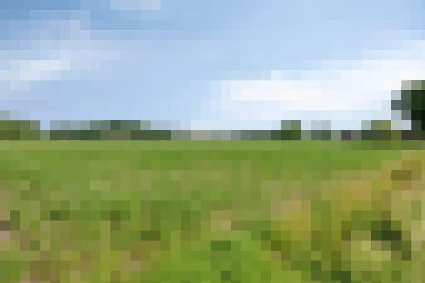 Roekelseweg 18 A Wekerom thumbnail 63