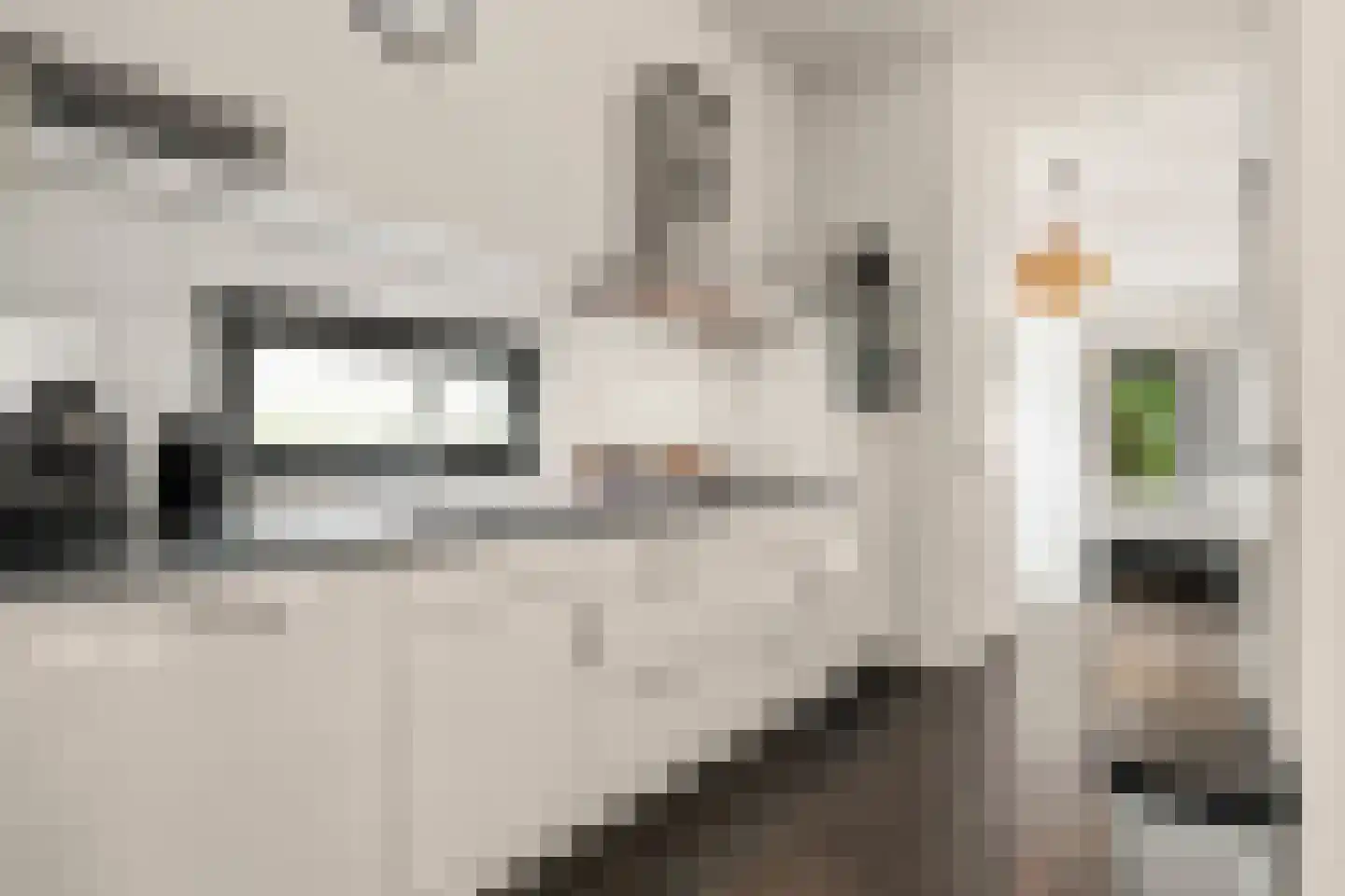 Roekelseweg 48 B04 Wekerom thumbnail 9