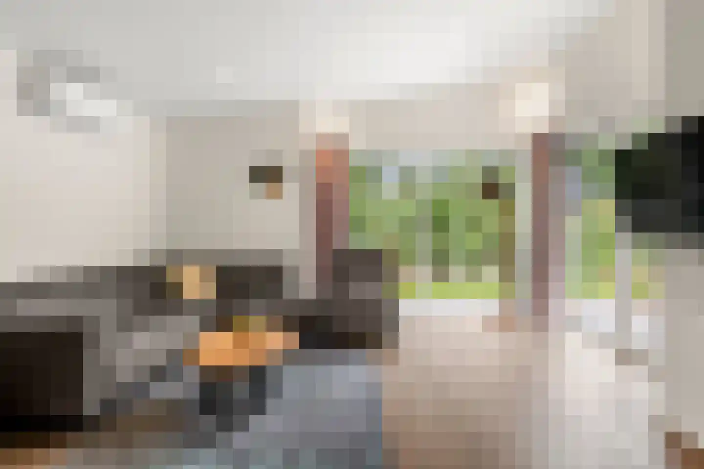 Roekelseweg 48 HL45 Wekerom thumbnail 14
