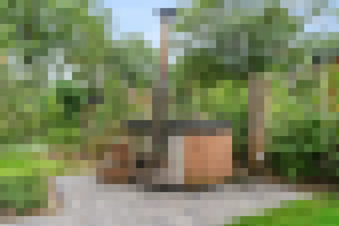 Roekelseweg 48 HL45 Wekerom thumbnail 4