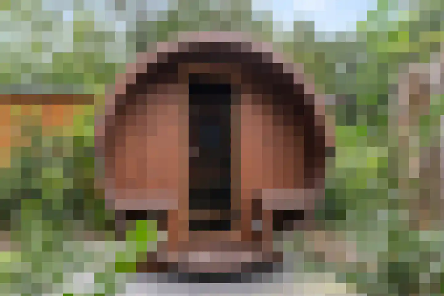Roekelseweg 48 HL45 Wekerom thumbnail 5