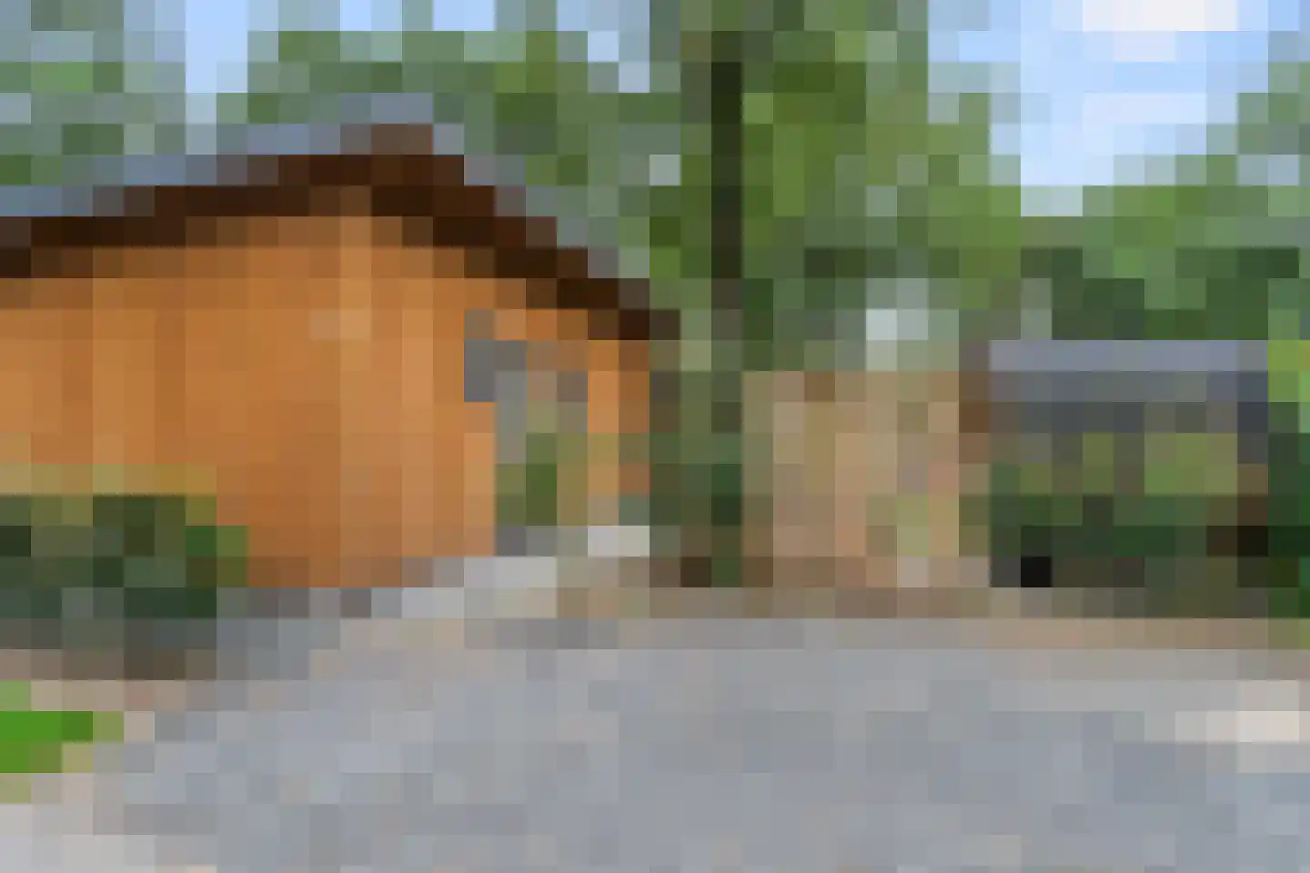 Roekelseweg 48 HL45 Wekerom thumbnail 8