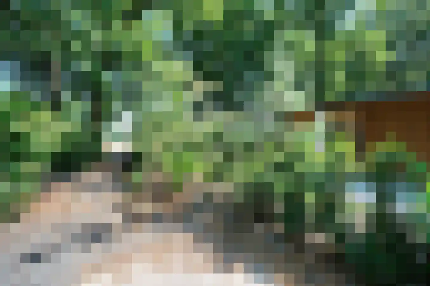 Roekelseweg 48 R 10 Wekerom thumbnail 22