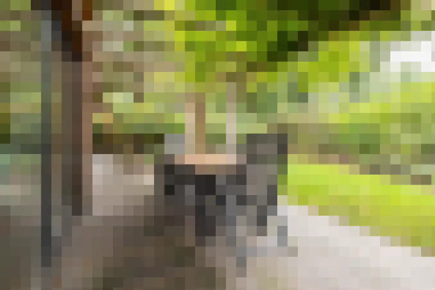 Roekelseweg 48 R 123 Wekerom thumbnail 6