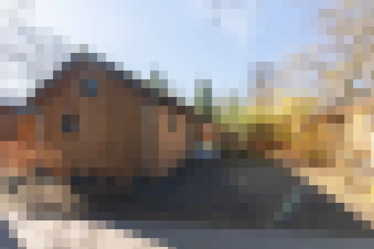 Roekelseweg 48 R 147 Wekerom thumbnail 21