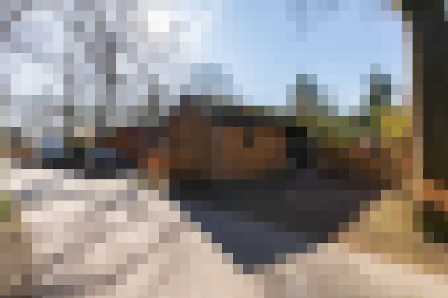 Roekelseweg 48 R 147 Wekerom thumbnail 22