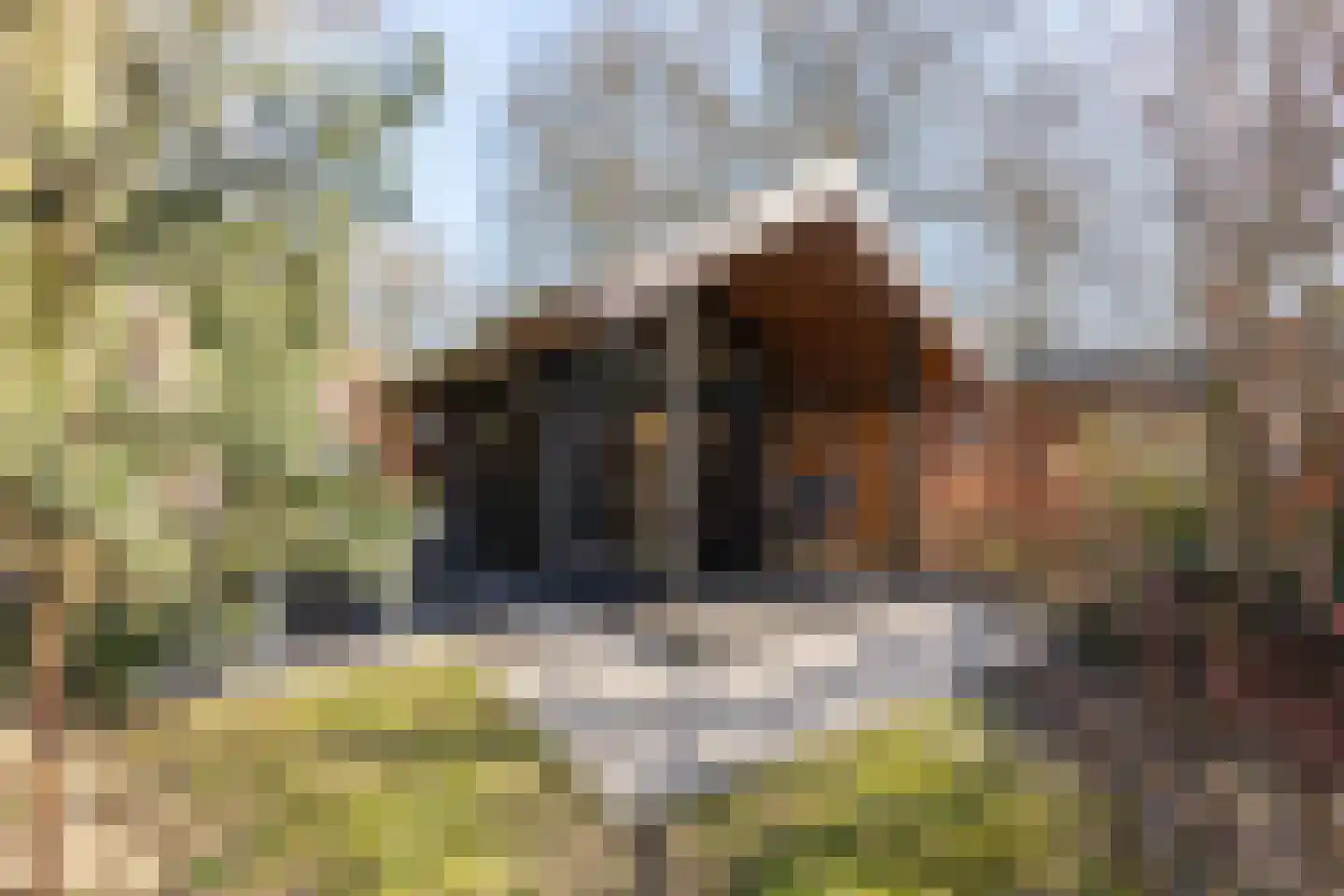 Roekelseweg 48 R 147 Wekerom thumbnail 23