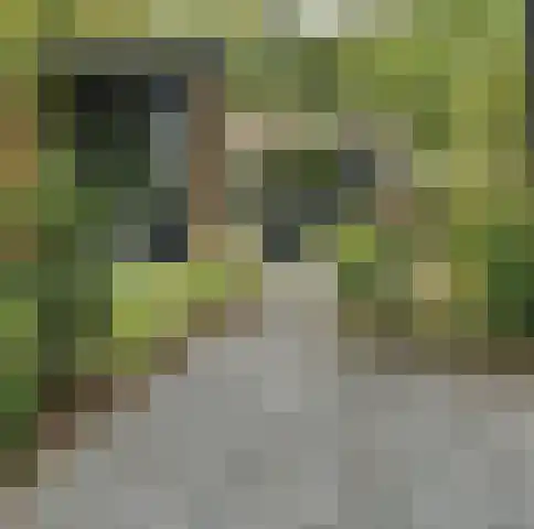 Roekelseweg 48 R 180 Wekerom thumbnail 6